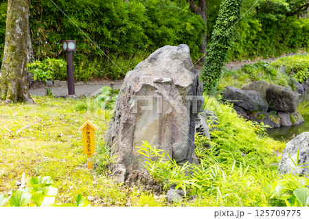 清澄庭園　伊豆川奈石 125709775