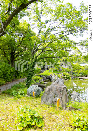 清澄庭園 伊豆川奈石 紀州青石 清澄庭園 伊豆川奈石 紀州青石 125709777
