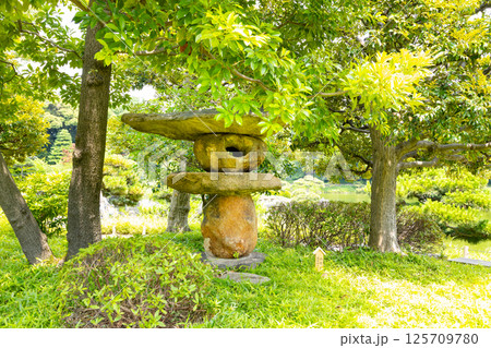 清澄庭園の山灯籠 清澄庭園の山灯籠 125709780