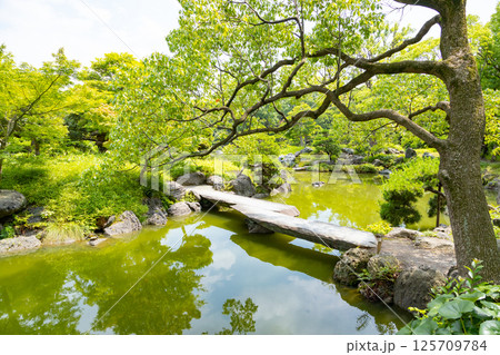 清澄庭園 大泉水にかかる石橋 清澄庭園 大泉水にかかる石橋 125709784