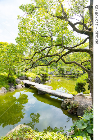 清澄庭園　大泉水にかかる石橋 125709785