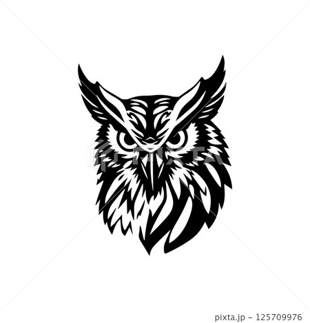 Owl logo and symbol illustration Owl logo and symbol illustration 125709976