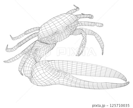 Wireframe of a crab with one huge claw made of black lines isolated on a white background. 125710035