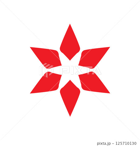 Creative Star Logo Design Illustration Template 125710130