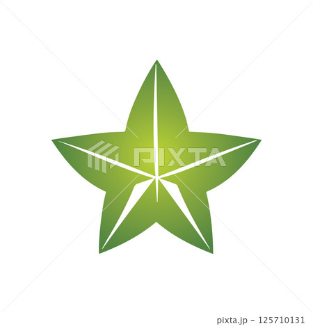 Creative Star Logo Design Illustration Template 125710131