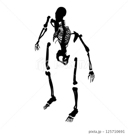 Silhouette of a human skeleton disassembled into bones isolated on a white background. Isometric view. Vector illustration. Silhouette of a human skeleton disassembled into bones isolated on a white background. Isometric view. Vector illustration. 125710691