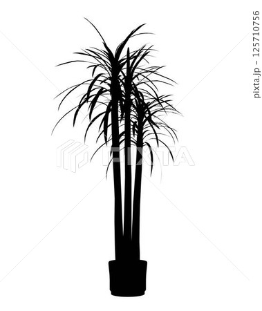 Potted Plant Vector Silhouette. Houseplant. Indoor flower with stems and leaves. Black on white background 125710756