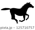 Drawing the silhouette of running horse. Vector illustration 125710757