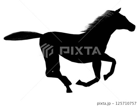 Drawing the silhouette of running horse. Vector illustration 125710757