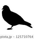 Silhouette of a sitting dove isolated on a white background. Vector illustration. 125710764