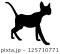 Vector illustration isolated silhouette cat walking 125710771