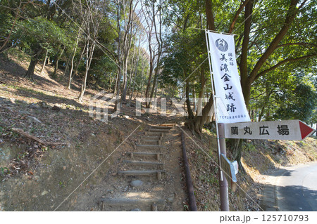 森蘭丸が生まれた城で知られる 国史跡「美濃金山城」 森蘭丸が生まれた城で知られる 国史跡「美濃金山城」 125710793