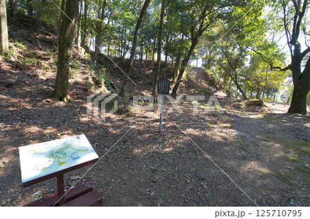 森蘭丸が生まれた城で知られる　国史跡「美濃金山城」 125710795