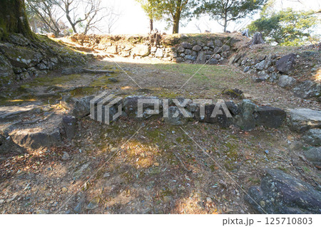 森蘭丸が生まれた城で知られる　国史跡「美濃金山城」 125710803