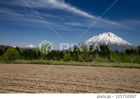 早春の羊蹄山 125710987