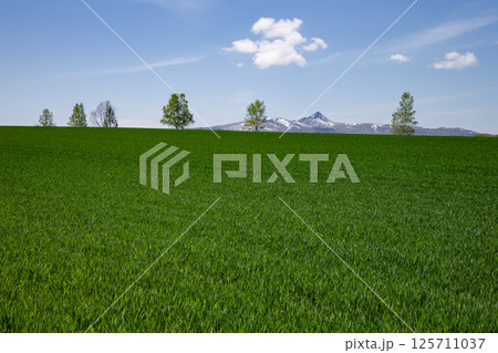 草原の大地 125711037