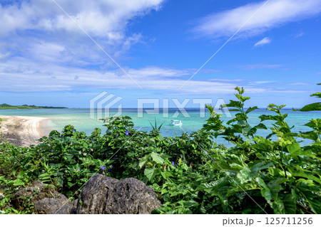 自然に囲まれた石垣島のプライベートビーチ 自然に囲まれた石垣島のプライベートビーチ 125711256