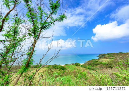 爽やかな風が吹き抜ける石垣島の海辺の丘 125711271