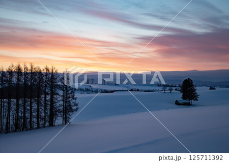 美しい雪原の丘 美しい雪原の丘 125711392