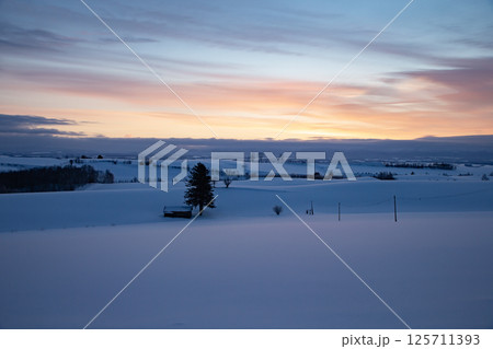 美しい雪原の丘 美しい雪原の丘 125711393