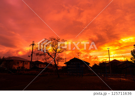 雨上がりの夕空に現れた見事な夕焼け　奈良の市街地にて③ 125711636