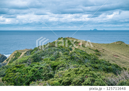 【#奄美大島】宮古崎 125711648