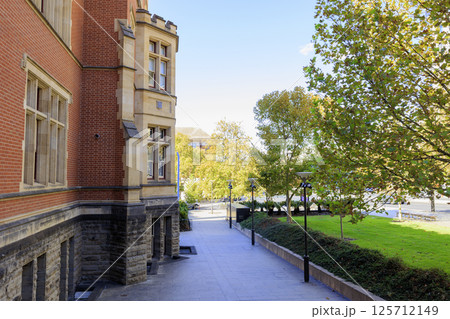 レンガの建物と紅葉した街路樹 125712149