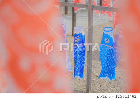 赤い鯉のぼりの間から見る青い鯉のぼり 125712462