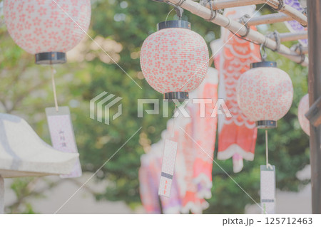 さくら柄の提灯と鯉のぼり 125712463