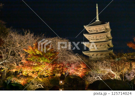 東寺紅葉ライトアップ 125714024