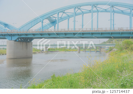 春の多摩川 春の多摩川 125714437