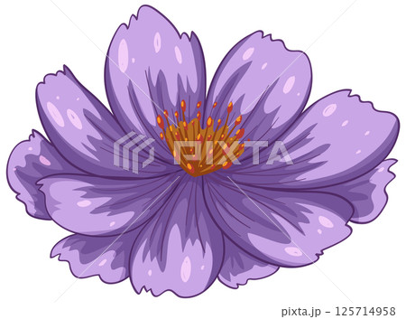 Vibrant Purple Flower Vector Illustration Vibrant Purple Flower Vector Illustration 125714958