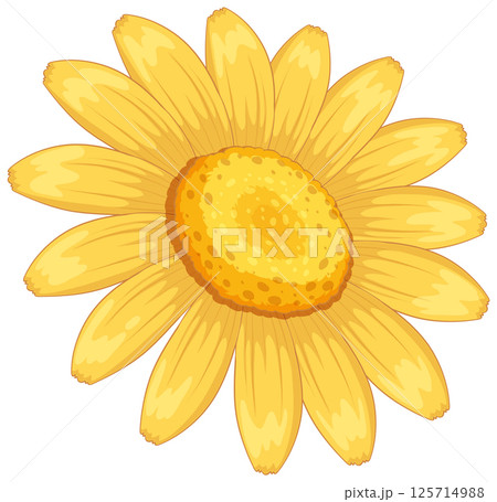 Vibrant Sunflower Vector Illustration with Yellow Petals 125714988