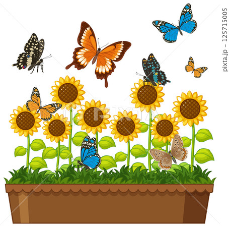 Butterflies and Sunflowers in Vibrant Vector Art 125715005