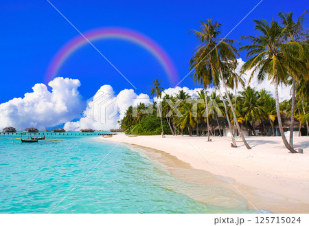 真夏の南国イメージ・インド洋の美しいサンゴ礁の海 125715024