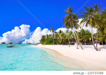 真夏の南国イメージ・インド洋の美しいサンゴ礁の海 125715388