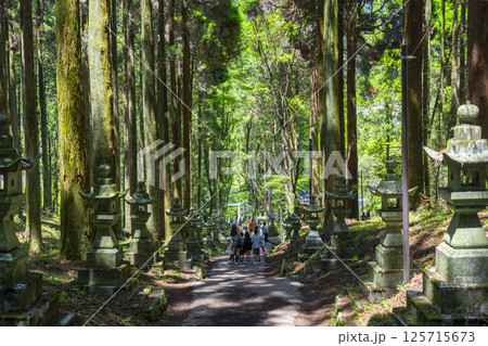 上色見熊野座神社　新緑に包まれた参道 125715673