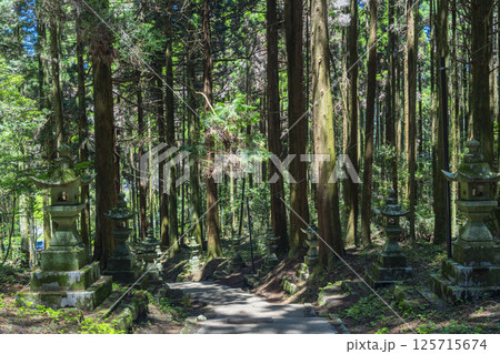 上色見熊野座神社 新緑に包まれた参道 上色見熊野座神社 新緑に包まれた参道 125715674