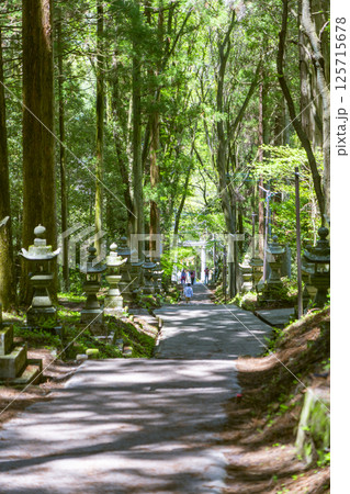 上色見熊野座神社 新緑に包まれた参道 上色見熊野座神社 新緑に包まれた参道 125715678