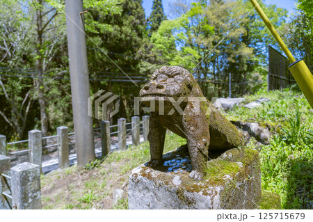 上色見熊野座神社 狛犬 上色見熊野座神社 狛犬 125715679