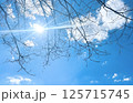 まぶしい太陽 125715745