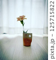 一輪挿しのカーネーション / Single Carnation in Vase 125715822