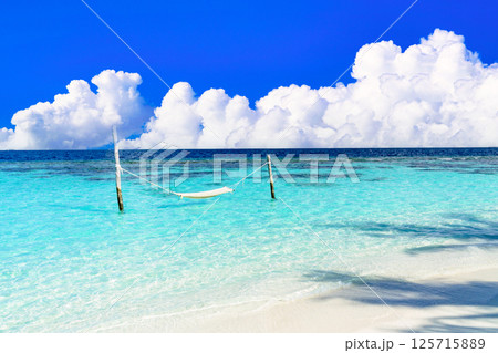 真夏の南国イメージ・インド洋の美しいサンゴ礁の海 125715889