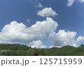 夏空と緑の森の風景 / Summer sky and green forest scenery 125715959
