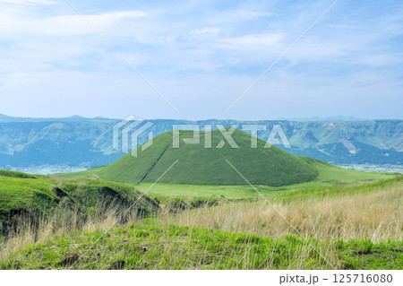 緑一色に染まった初夏の米塚（阿蘇市） 125716080