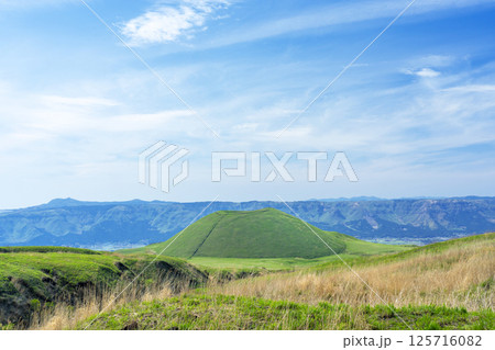 緑一色に染まった初夏の米塚（阿蘇市） 125716082