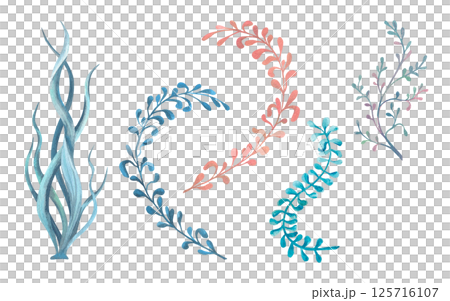 Set of marine algae, seaweed, ocean plants Watercolor illustration isolated from background. Hand drawn wriggling plants collection in blue, pink, turquoise colors. For compositions children's design 125716107