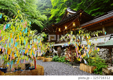 新緑の京都貴船神社 七夕笹飾りライトアップ 京都観光スポット 新緑の京都貴船神社 七夕笹飾りライトアップ 京都観光スポット 125716312