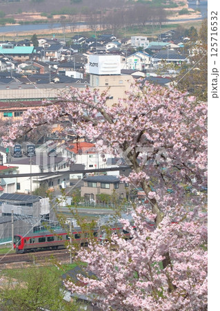 満開の桜と千曲川に見守られながら駆け抜けるしなの鉄道SR1系電車_2025/4/19撮 125716532