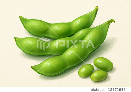 枝豆のイラスト 125716534